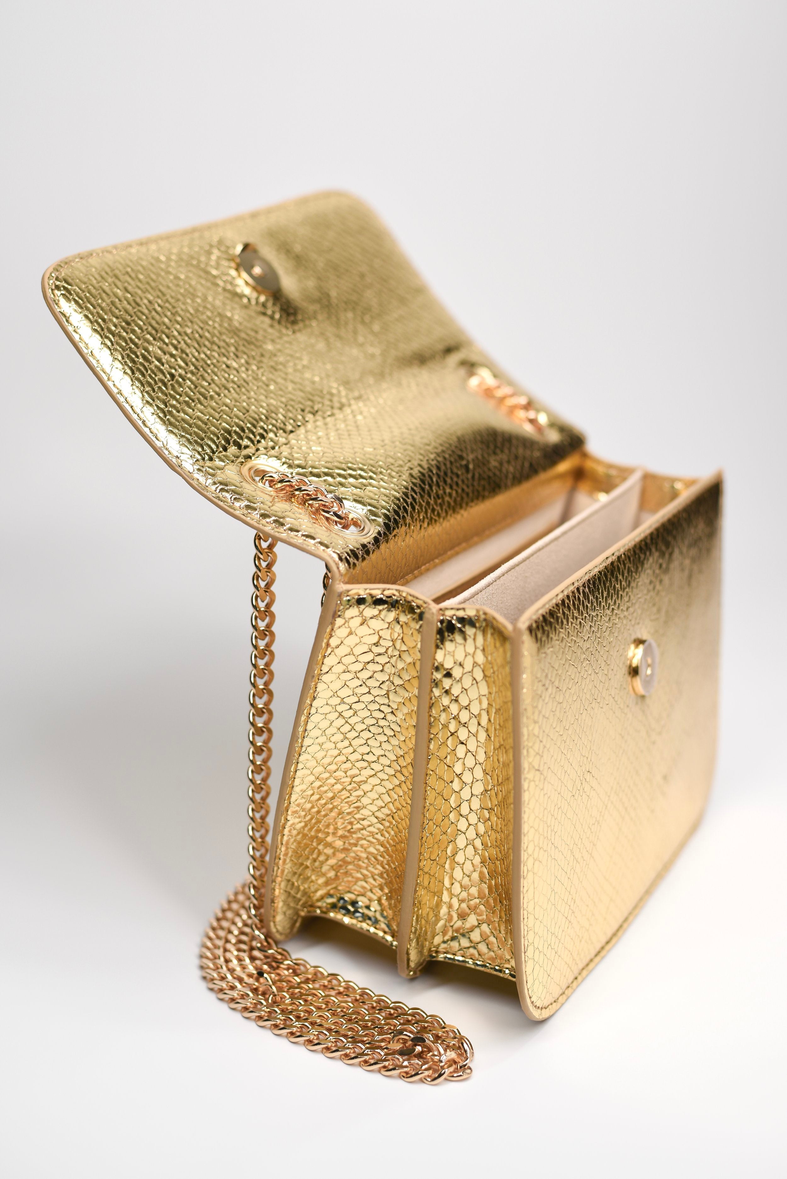 The Royal Elizabeth Gold Chain Bag